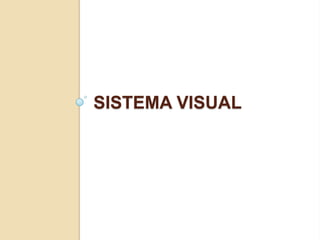 SISTEMA VISUAL
 