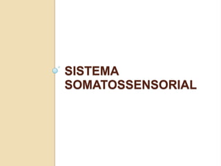 SISTEMA
SOMATOSSENSORIAL
 