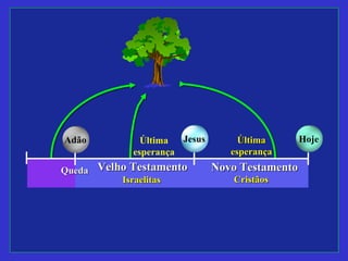 Última
esperança
Jesus HojeAdão ÚltimaÚltima
esperançaesperança
Velho TestamentoVelho Testamento
IsraelitasIsraelitas
Novo TestamentoNovo Testamento
CristãosCristãos
QuedaQueda
 