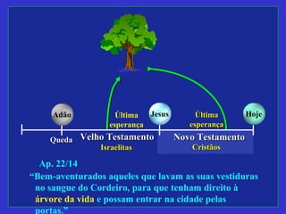 Última
esperança
QuedaQueda Velho TestamentoVelho Testamento
IsraelitasIsraelitas
Jesus HojeAdão
Novo TestamentoNovo Testamento
CristãosCristãos
ÚltimaÚltima
esperançaesperança
Ap. 22/14
“Bem-aventurados aqueles que lavam as suas vestiduras
no sangue do Cordeiro, para que tenham direito à
árvore da vida e possam entrar na cidade pelas
portas.”
 