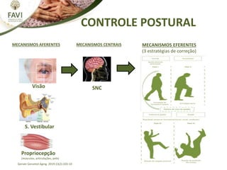 CONTROLE POSTURAL
Geriatr Gerontol Aging. 2019;13(2):103-10
Visão
S. Vestibular
Propriocepção
(músculos, articulações, pele)
SNC
MECANISMOS AFERENTES MECANISMOS CENTRAIS MECANISMOS EFERENTES
(3 estratégias de correção)
 