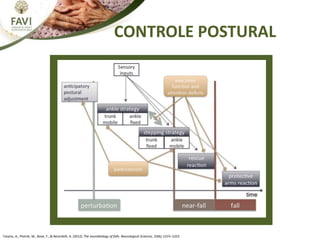 CONTROLE POSTURAL
Fasano, A., Plotnik, M., Bove, F., & Berardelli, A. (2012). The neurobiology of falls. Neurological Sciences, 33(6), 1215–1223.
 