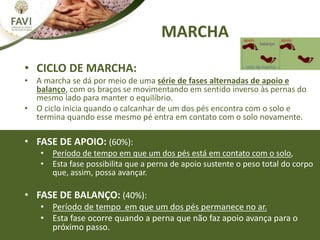 MARCHA
• CICLO DE MARCHA:
• A marcha se dá por meio de uma série de fases alternadas de apoio e
balanço, com os braços se movimentando em sentido inverso às pernas do
mesmo lado para manter o equilíbrio.
• O ciclo inicia quando o calcanhar de um dos pés encontra com o solo e
termina quando esse mesmo pé entra em contato com o solo novamente.
• FASE DE APOIO: (60%):
• Período de tempo em que um dos pés está em contato com o solo,
• Esta fase possibilita que a perna de apoio sustente o peso total do corpo
que, assim, possa avançar.
• FASE DE BALANÇO: (40%):
• Período de tempo em que um dos pés permanece no ar.
• Esta fase ocorre quando a perna que não faz apoio avança para o
próximo passo.
 
