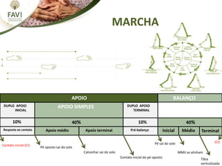 MARCHA
APOIO BALANÇO
APOIO SIMPLES
DUPLO APOIO
INICIAL
40%
DUPLO APOIO
TERMINAL
Inicial Médio
Apoio médio Apoio terminal
Resposta ao contato Pré-balanço
10% 10% 40%
Contato inicial (CI)
Pé oposto sai do solo
Calcanhar sai do solo
Contato inicial do pé oposto
Terminal
Pé sai do solo
Tíbia
verticalizada
MMII se alinham
(CI)
 