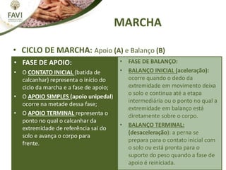 MARCHA
• CICLO DE MARCHA: Apoio (A) e Balanço (B)
• FASE DE APOIO:
• O CONTATO INICIAL (batida de
calcanhar) representa o início do
ciclo da marcha e a fase de apoio;
• O APOIO SIMPLES (apoio unipedal)
ocorre na metade dessa fase;
• O APOIO TERMINAL representa o
ponto no qual o calcanhar da
extremidade de referência sai do
solo e avança o corpo para
frente.ente.
• FASE DE BALANÇO:
• BALANÇO INICIAL (aceleração):
ocorre quando o dedo da
extremidade em movimento deixa
o solo e continua até a etapa
intermediária ou o ponto no qual a
extremidade em balanço está
diretamente sobre o corpo.
• BALANÇO TERMINAL:
(desaceleração): a perna se
prepara para o contato inicial com
o solo ou está pronta para o
suporte do peso quando a fase de
apoio é reiniciada.
 