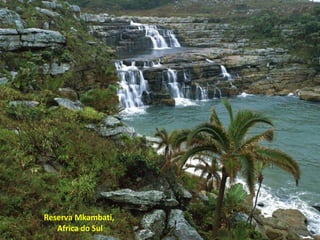 Reserva Mkambati,  Africa do Sul 