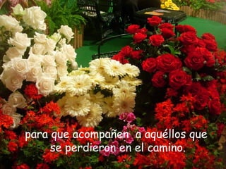 para que acompañen a aquéllos que
     se perdieron en el camino.
 