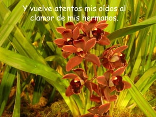 Y vuelve atentos mis oídos al
clamor de mis hermanos.