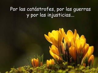 Por las catástrofes, por las guerras
y por las injusticias...