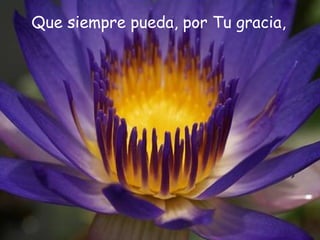 Que siempre pueda, por Tu gracia,