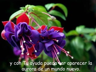 y con Tu ayuda pueda ver aparecer la
aurora de un mundo nuevo.
