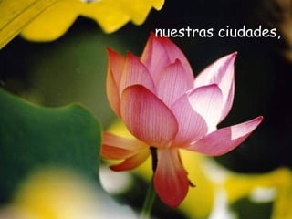 nuestras ciudades,
 