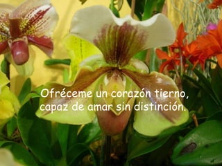 Ofréceme un corazón tierno,
capaz de amar sin distinción.
 