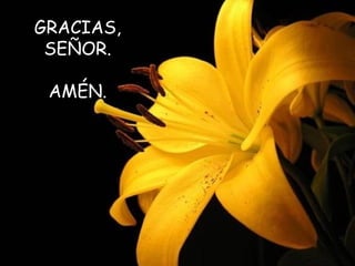 GRACIAS,
SEÑOR.
AMÉN.
 