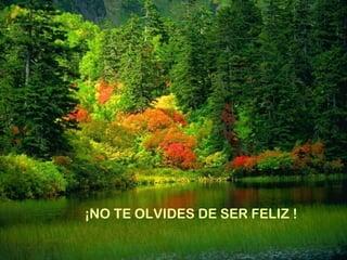¡NO TE OLVIDES DE SER FELIZ !
 