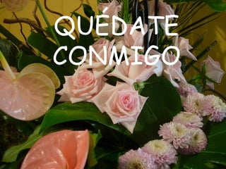 QUÉDATE
CONMIGO