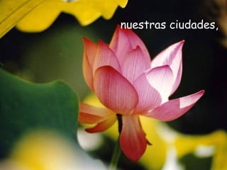 nuestras ciudades,