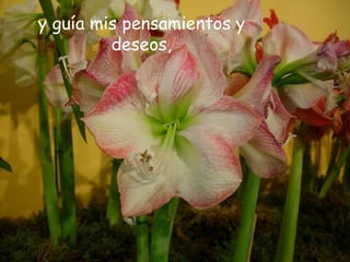 y guía mis pensamientos y
deseos,