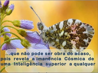 ...que não pode ser obra do acaso,
pois revela a imanência Cósmica de
uma Inteligência superior a qualquer
 