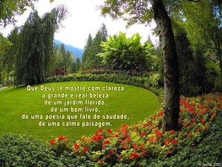 Que Deus te mostre com clareza a grande e real beleza de um jardim florido, de um bom livro, de uma poesia que fale de saudade, de uma calma paisagem. 