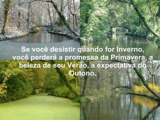 Se você desistir quando for Inverno, você perderá a promessa da Primavera, a beleza de seu Verão, a expectativa do Outono. 