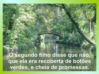 O segundo filho disse que não, que ela era recoberta de botões verdes, e cheia de promessas. 