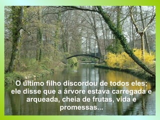 O último filho discordou de todos eles; ele disse que a árvore estava carregada e arqueada, cheia de frutas, vida e promessas... 