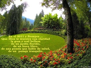 En el 2011 y Siempre … Que Dios te muestre con claridad la gran y real belleza de un jardín florido, de un buen libro, de una poesía que hable de salud, de un  paisaje tranquilo. 