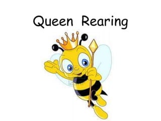 Queen Rearing
 