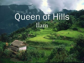 Ilam
Queen of Hills
 