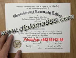 QCC diploma