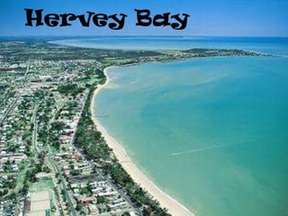 Hervey Bay