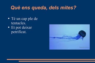Què ens queda, dels mites? Té un cap ple de tentacles. Et pot deixar petrificat. 