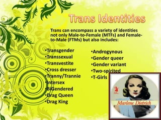 Sex Work / Survival SexDenied Opportunities:EducationEmploymentJob TrainingSurvival Sex WorkHIV Risk