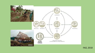 FAO, 2018
 