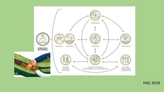 FAO, 2018
 