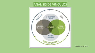 ANÁLISIS DE VÍNCULOS
Muller et al. 2015
 