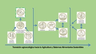 TransiciónagroecológicahacialaAgriculturaySistemasAlimentariosSostenibles
 