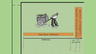 Agricultura tradicional
10.000 años
1 2
7.2´
3
1´
Agricultura
con
transgénicos
Agricultura
de
revolución
verde
60
R.I
200
años años
 
