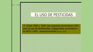 EL USO DE PESTICIDAS
 Entre 1960 y 1990, las cosechas aumentaron 23%
pero el uso de fertilizantes y plaguicidas aumentaron
en 65% y 69% respectivamente (Rosset, 2000).
 