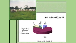 1
8%
3
10%
4
5%
Area enUso del Suelo, 2011
1. Agricultura
2. Ganadería
3. Bosques
4. Otros usos
2
77%
Fuente: DANE. ENA, 2011
 