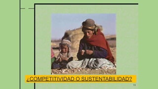 13
¿COMPETITIVIDAD O SUSTENTABILIDAD?
 