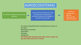 AGROECOSISTEMAS
Son sistemas agroalimentarios sostenibles que se basan en
principios:
Reciclaje de nutrientes
Diversidad
Sinergias
Integración
FIN: Tratamiento del espacio del cultivo como un lugar vivo
que tiene valor como fin en si mismo
Es también conocido como sistemas
agrícolas
Intervención del hombre con fines
de producción, basándose en
principios culturales, tecnológicas y
económicos abarcando:
Sistemas:
• Agropecuario
• Agícolas
• Agropastoriles
• Agrosilvopastoril
 