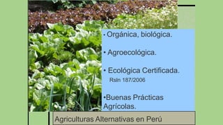 • Orgánica, biológica.
• Agroecológica.
• Ecológica Certificada.
Rsln 187/2006
•Buenas Prácticas
Agrícolas.
Agriculturas Alternativas en Perú
 