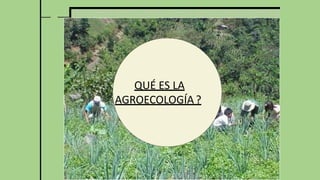QUÉ ES LA
AGROECOLOGÍA?
 