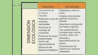Estabilizar y cubrir el
suelo.
Integrar componentes
agrícola, pecuario y
forestal.
Maximizar la producción
de materia orgánica.
Uso preferencial de
energías solar, animal,
humana, eólica, etc
Reciclaje y
descontaminación de
aguas.
Diversificación del
sistema con especies
adaptadas.
Uso protector de
los bienes
naturales.
Potenciar el uso de
energías
renovables.
Promover el
reciclaje de
nutrientes.
Promover la mayor
biodiversidad
dentro del
agroecosistema.
Eficiencia del
balance energético
DIMENSIÓN
ECOLÓGICA
PRINCIPIOS ESTRATEGIAS
 