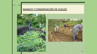 27
MANEJO Y CONSERVACIÓN DE SUELOS
 