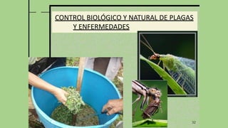32
CONTROL BIOLÓGICO Y NATURAL DE PLAGAS
Y ENFERMEDADES
 