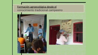 Formación agroecológica desde el
conocimiento tradicional campesino
 