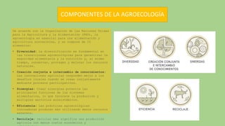 COMPONENTES DE LA AGROECOLOGÍA
De acuerdo con la Organización de las Naciones Unidas
para la Agricultura y la Alimentación (FAO), la
agroecología es esencial para una alimentación y
agricultura sostenibles, y se compone de 10
elementos:
• Diversidad: La diversificación es fundamental en
las transiciones agroecológicas para garantizar la
seguridad alimentaria y la nutrición y, al mismo
tiempo, conservar, proteger y mejorar los recursos
naturales.
• Creación conjunta e intercambio de conocimientos:
Las innovaciones agrícolas responden mejor a los
desafíos locales cuando se crean conjuntamente
mediante procesos participativos.
• Sinergias: Crear sinergias potencia las
principales funciones de los sistemas
alimentarios, lo que favorece la producción y
múltiples servicios ecosistémicos.
• Eficiencia: Las prácticas agroecológicas
innovadoras producen más utilizando menos recursos
externos.
• Reciclaje: reciclar más significa una producción
agrícola con menos costos económicos y
 